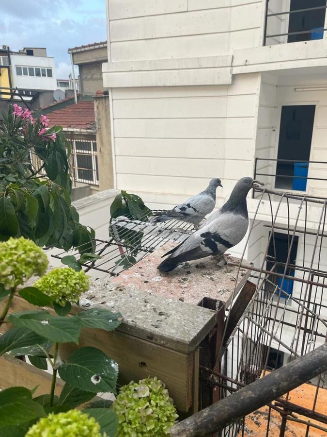 Central Apartment Kadikoy Terrace Bbq Close 2 Block Ferry Bull Metro Nighlife Istanbul Exteriör bild