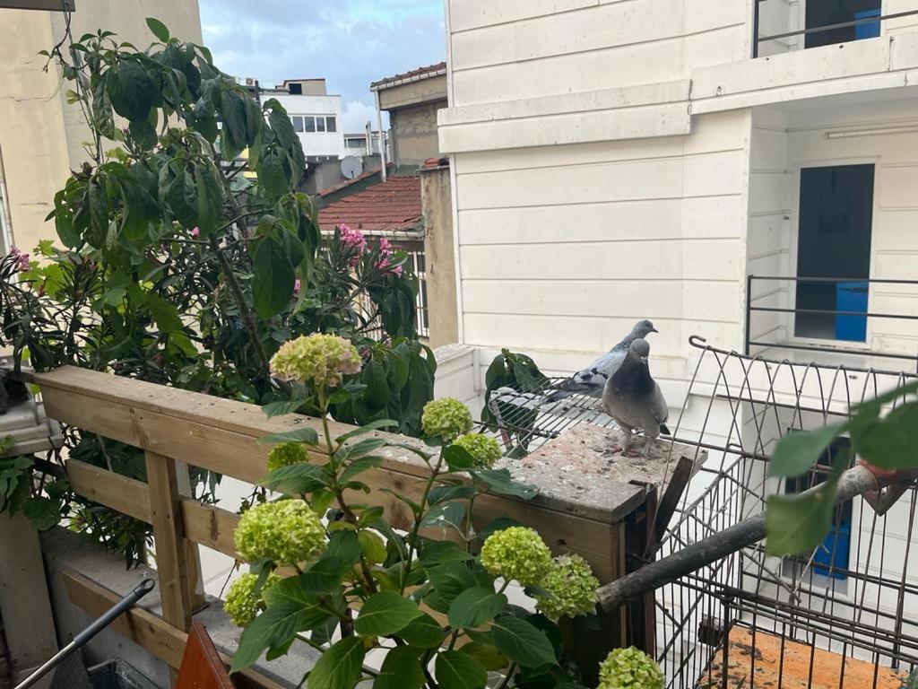 Central Apartment Kadikoy Terrace Bbq Close 2 Block Ferry Bull Metro Nighlife Istanbul Exteriör bild
